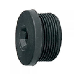 Screw Blanking plug
