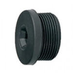 Screw Blanking plug
